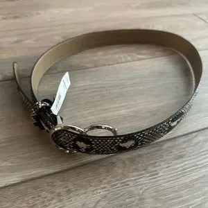 Express | Accessories | Express Animal Print Belt For Women  display picture 2